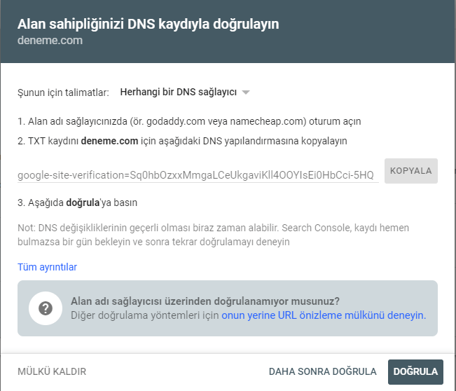 Google Search Console DNS kaydı doğrulama ekranı.