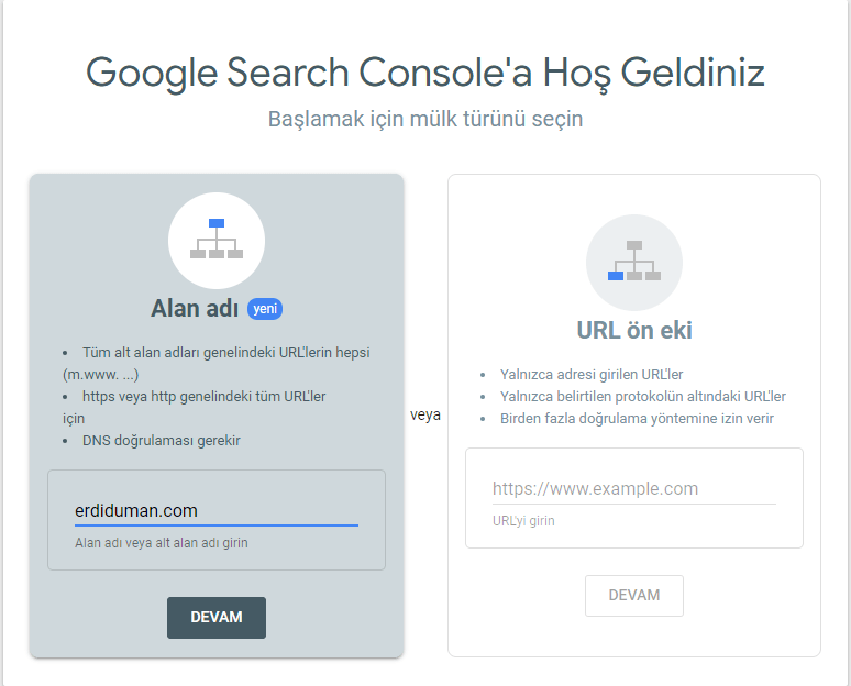 Google Search Cosnole mülk türü seçimi.