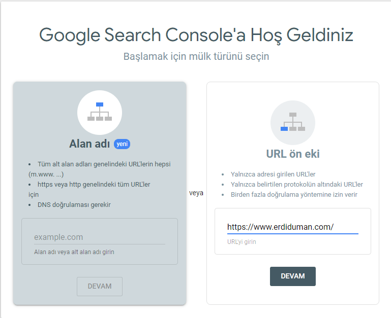 Google Search Cosnole mülk türü seçimi.
