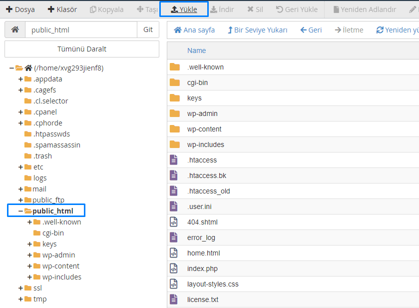 Cpanel'de dosya yöneticisi public_html klasörü konumu.